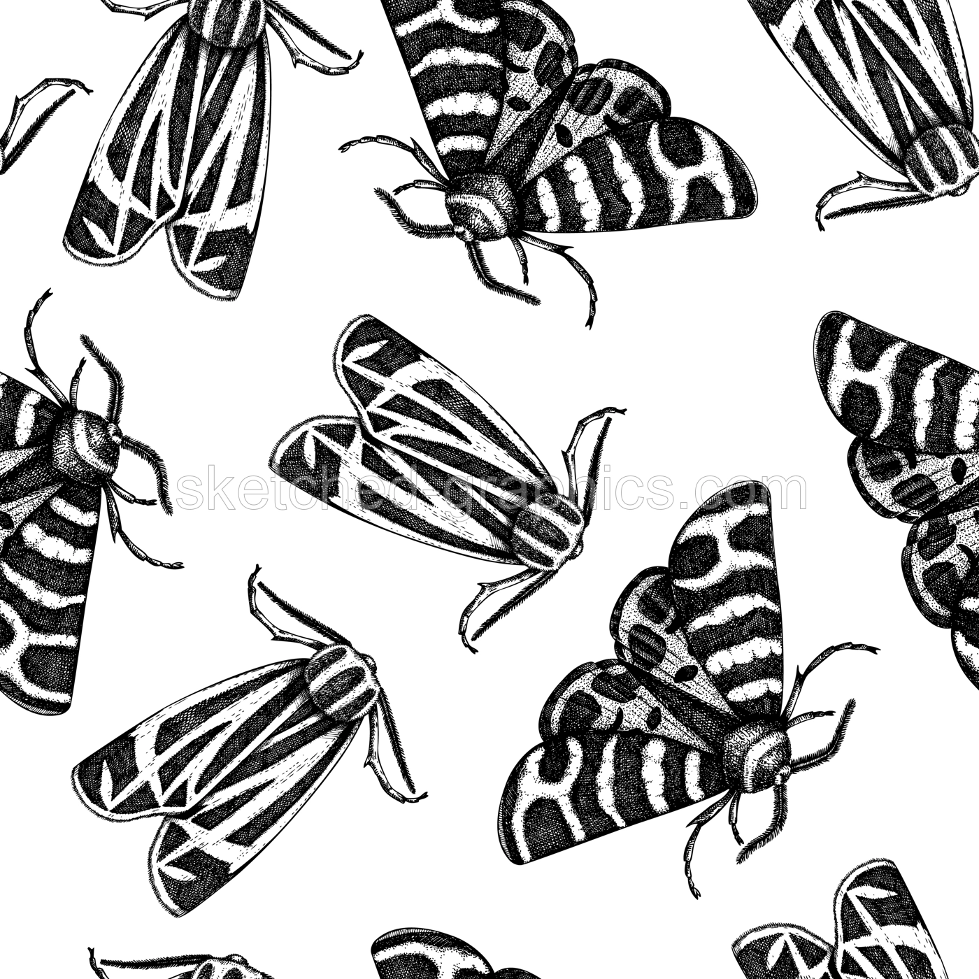 Tiger moth seamless pattern. Hand-drawn vector illustration. Butterfly sketch. Insect vintage background. Illustration